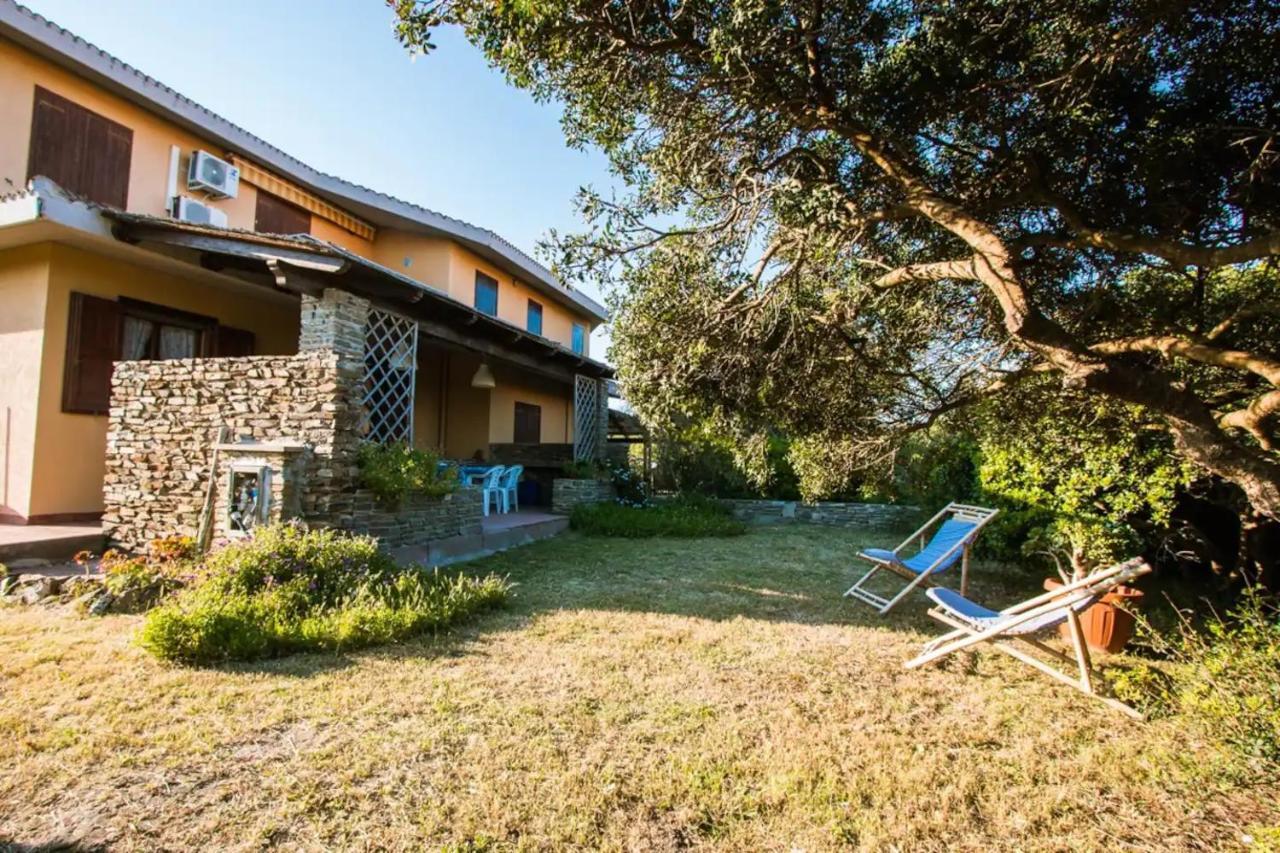 L' Elicriso, A Pochi Passi Dal Mare Con Giardino Privato - The Elicriso, A Few Meters From The Sea, With Private Garden Lejlighed Stintino Eksteriør billede