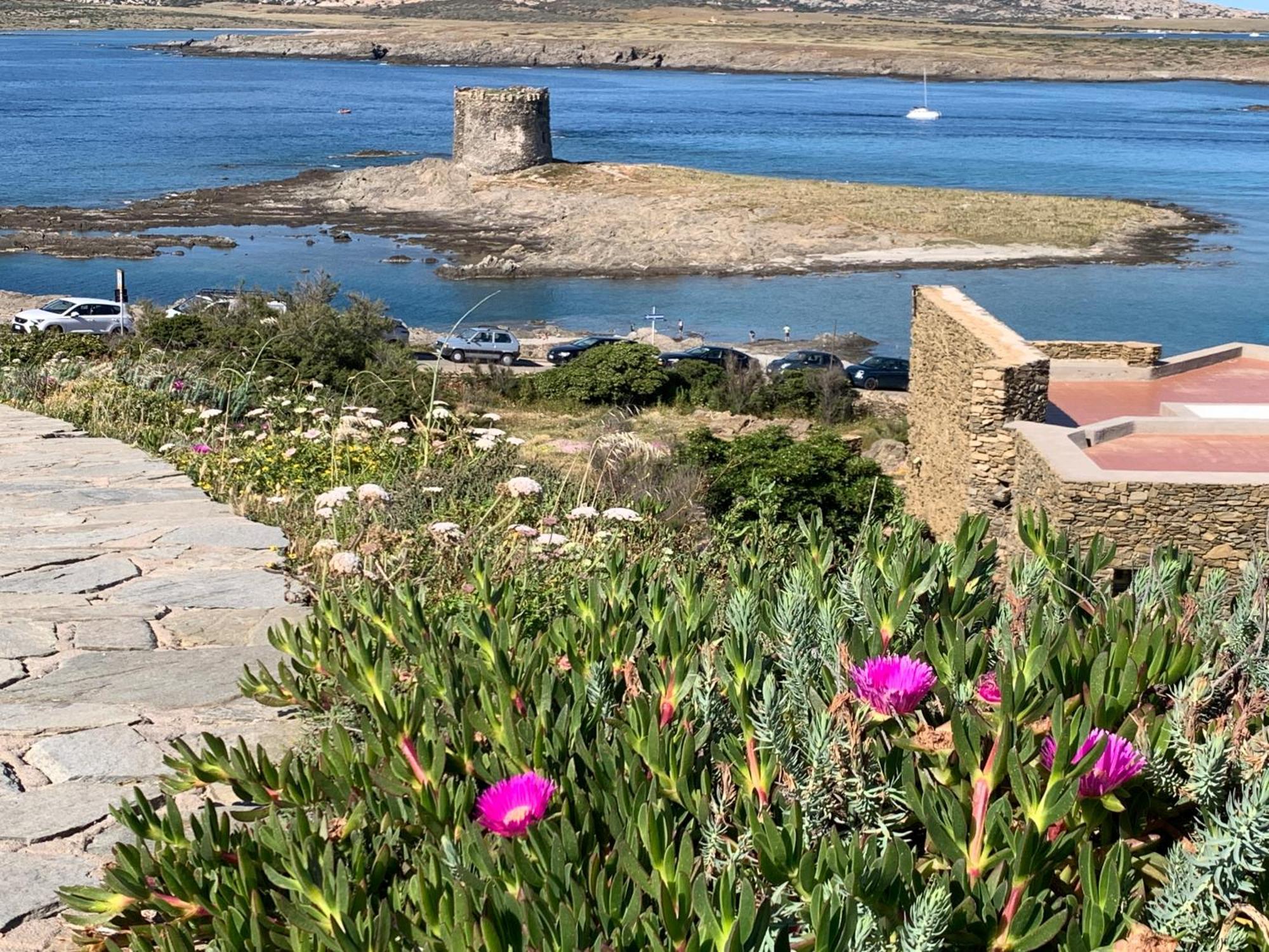 L' Elicriso, A Pochi Passi Dal Mare Con Giardino Privato - The Elicriso, A Few Meters From The Sea, With Private Garden Lejlighed Stintino Eksteriør billede