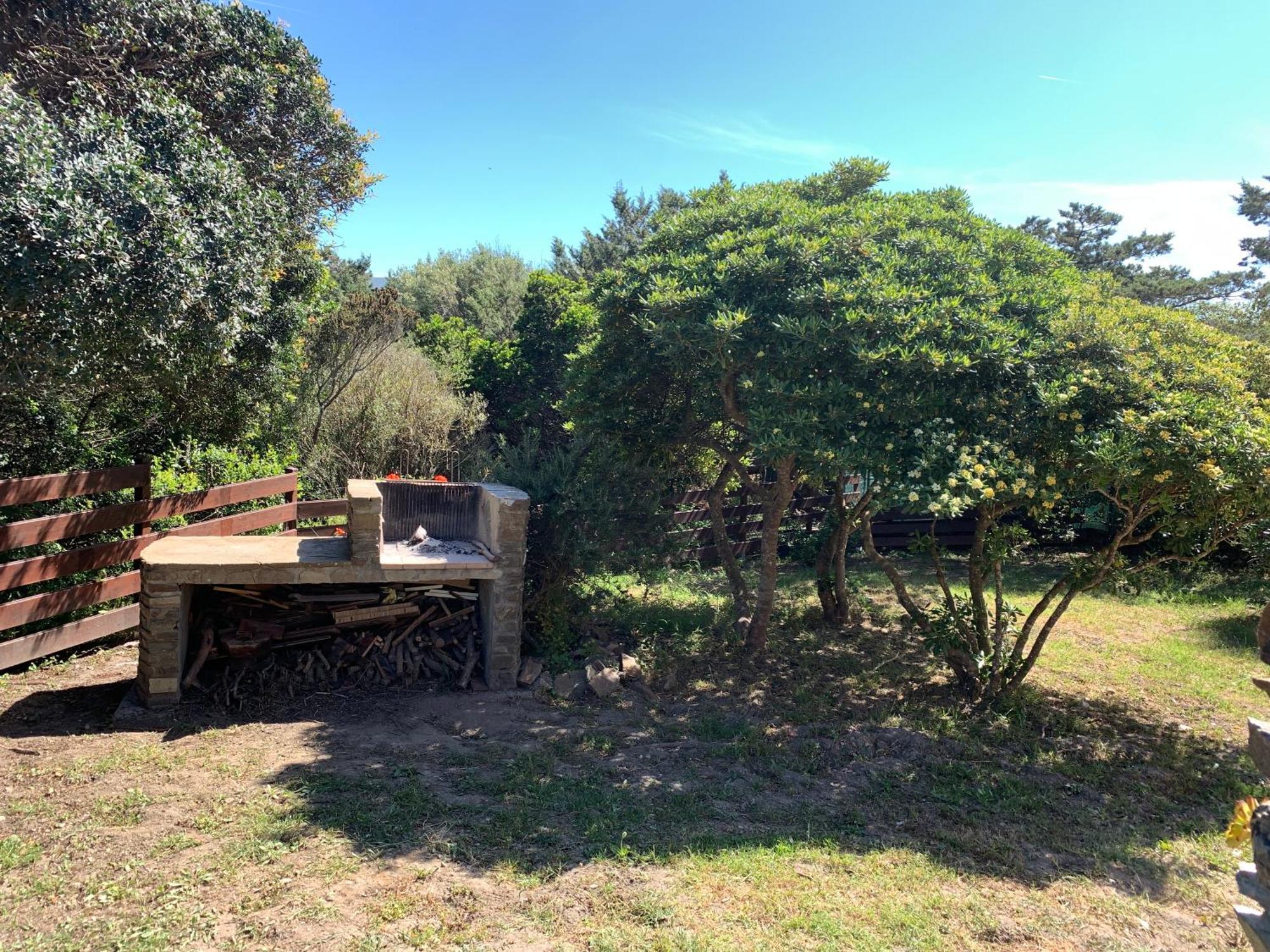 L' Elicriso, A Pochi Passi Dal Mare Con Giardino Privato - The Elicriso, A Few Meters From The Sea, With Private Garden Lejlighed Stintino Eksteriør billede